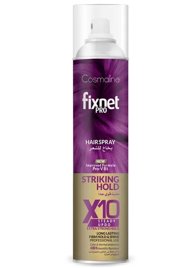 Pro Steady Updo Spray X 10, 500ML