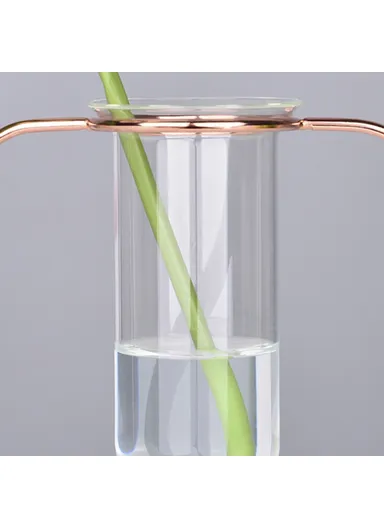 Glass Test Tube Planter Hydroponic Plant Flower Vase with Iron Stand, Size S - Rose Gold