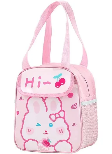 Large Capacity Lunch Box Bag For Students, work &amp; Picnic (W23 x D14 x H20)cm