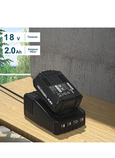 18V 2.0AH Li-Ion Battery Pack WD119110210