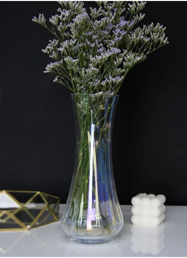 Transparent Hight-Quality Flower Glass Vase For Home &amp; Office (D11 x H27)cm - Colorful 
