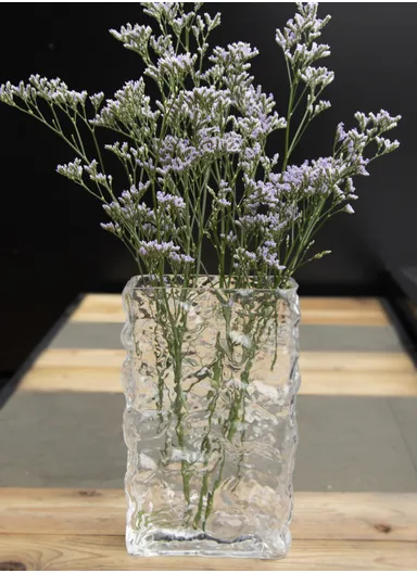 Luxury Transparent Hight-Quality Flower Glass Vase For Home &amp; Office (L7.5 x W15 x H24)cm