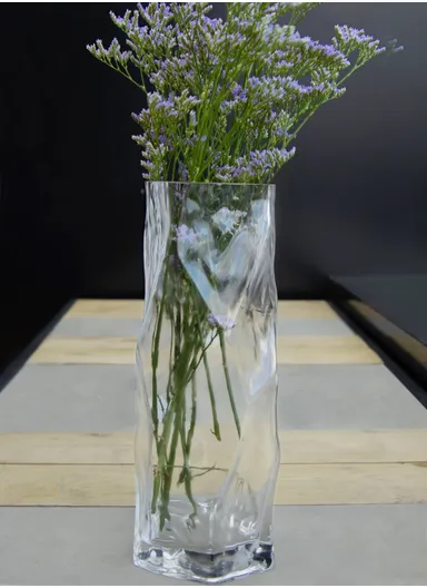 Hight-Quality Hydroponic Geometric Flower Glass Vase For Home &amp; Office (L9 x W9 x H29)cm - Transparent