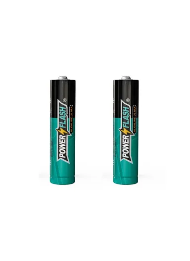 2 Pcs 1.5V AAA Alkaline Batteries PF AAA-ALK-2B