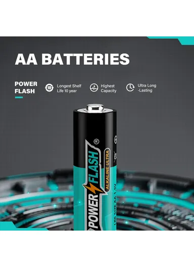 2 Pcs 1.5V AAA Alkaline Batteries PF AAA-ALK-2B