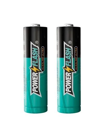 2 Pcs 1.5V AA Alkaline Batteries PF AA-ALK-2B