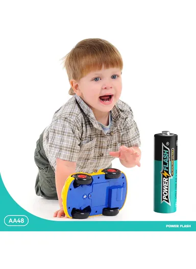 2 Pcs 1.5V AA Alkaline Batteries PF AA-ALK-2B