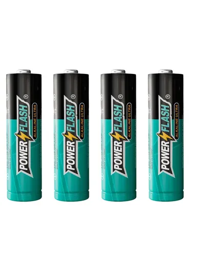 4 Pcs 1.5V AA Alkaline Batteries PF AA-ALK-4B