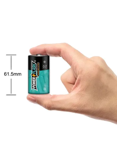 2 Pcs 1.5V Alkaline Batteries PF C-ALK-2B