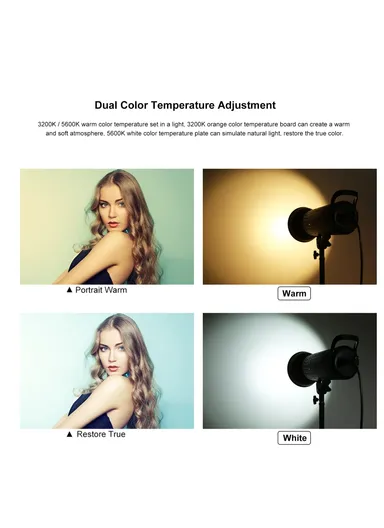 Photography Studio Video Light With 2.8m Light Stand &amp; Softbox Kit Set PKT3105 - EU Plug