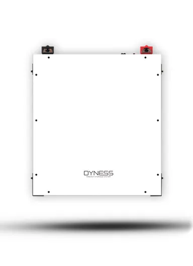 5.12kWh Higher Efficient Lithium Ion Battery 6000 Cycles DL5.0C