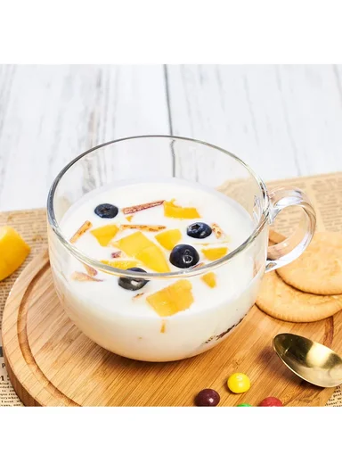 400ml 3-Pcs Heat Resistant Round Glass Mugs Sets with Handles NB8003