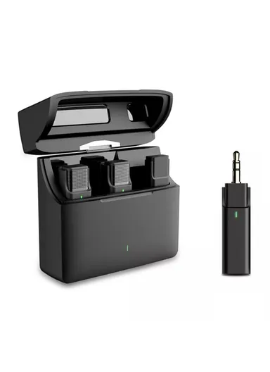 2 Microphones + 1 Receiver for Interview Live Broadcast Wireless Lavalier Mic System, 3.5mm Interface 033A2