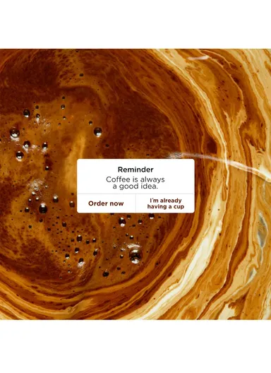 2 In 1 24 Sachets Bag ICSB-2IN1