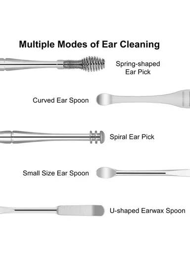 10Pcs/Set Ear Pick Earwax Removal Kit Stainless Steel Earpick Ear Spoon Cleaning Tool Set with Storage Pouch - Black