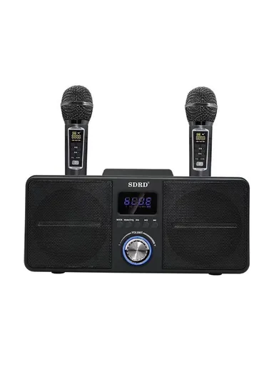 2000mAh Dual Wireless Microphone Bluetooth Speaker Mobile Karaoke - Black