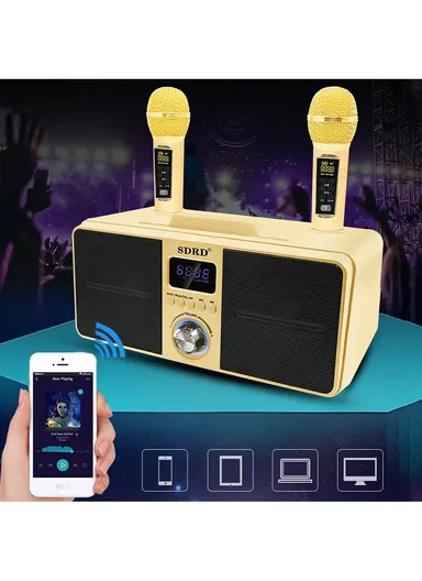 2000mAh Dual Wireless Microphone Bluetooth Speaker Mobile Karaoke - Black