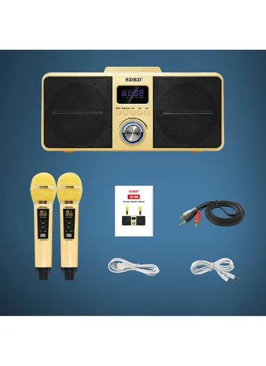 2000mAh Dual Wireless Microphone Bluetooth Speaker Mobile Karaoke - Black