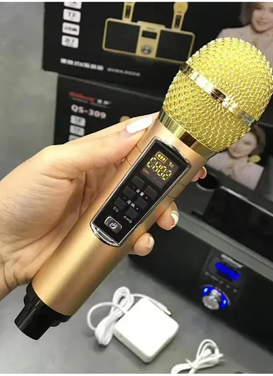 2000mAh Dual Wireless Microphone Bluetooth Speaker Mobile Karaoke - Black