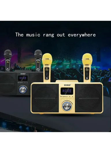 2000mAh Dual Wireless Microphone Bluetooth Speaker Mobile Karaoke - Black