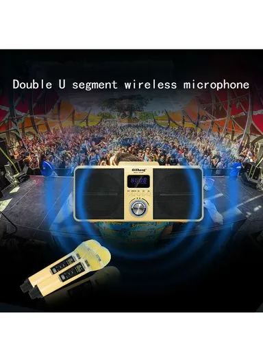 2000mAh Dual Wireless Microphone Bluetooth Speaker Mobile Karaoke - Black