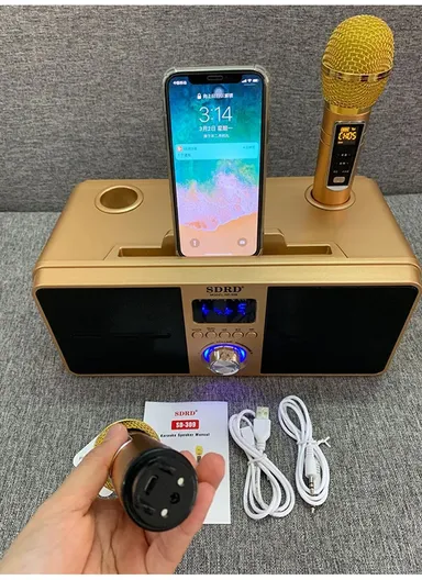 2000mAh Dual Wireless Microphone Bluetooth Speaker Mobile Karaoke - Black