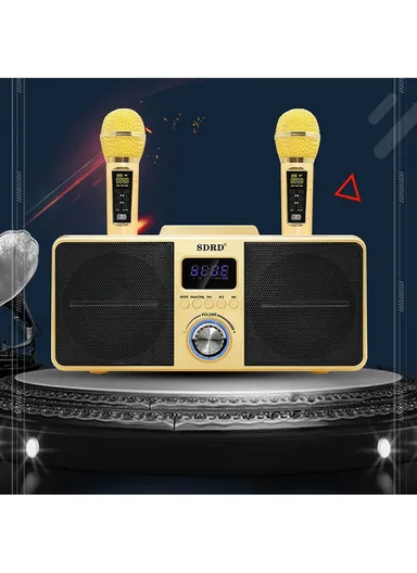 2000mAh Dual Wireless Microphone Bluetooth Speaker Mobile Karaoke - Black