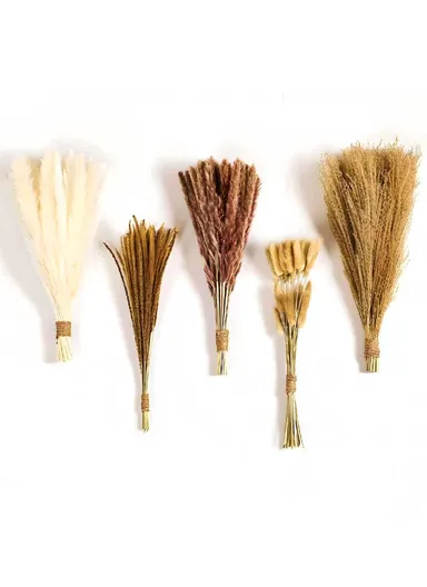 120Pcs Natural Dried Flower Pampas Grass White, Pampas Grass Brown, Reed Pampas, Little yellow Grass &amp; Bunny Tail for Home Decor Wedding Boho Decor 38-43cm