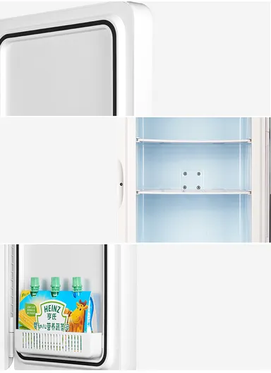 22L Car 12V DC/ Home 220V AC Dual-Use Dual Core Mini Refrigerator Adjustable Hot/Cold With Handle PD-22 (W30 x D27.5 x H43)cm - Bronze GOLD
