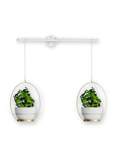 Hanging Flower Pots Wall-Mounted Planter Rod with Detachable Baskets (Set of 2) 001- Gold