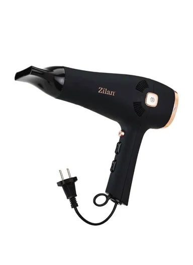 Hair Dryer Themis, For Professional Styling ZLN9143 
