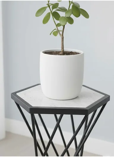 Hexagonal Plant Flower Pot Stand with Wooden Shelf, Plant Holder, Plant Display Rack for Balcony, Home, Offices, Hotels &amp; Decorations (W30 x D34 x H53)cm - Black