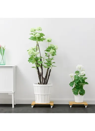 Square Flower Pot Holder Tray with Wheels Bamboo Roller Base GLTPNZHJ (D25 x H25)cm - Size S