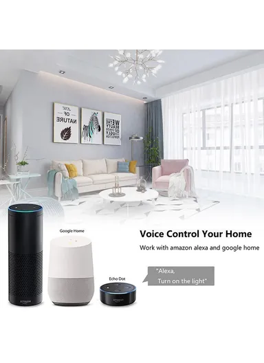 2 Gang WiFi + Bluetooth Dual Mode APP Voice Control Smart Touch Wall Switch DS-101JL-2 (L8.6 x W8.6 x D3.5)cm - Grey