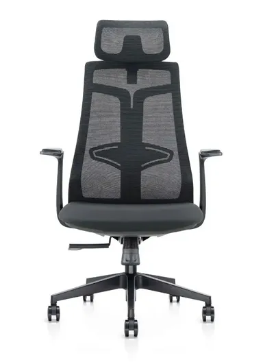 Ergonomic Office Chair, Desk Chair with Tilt Angle Adjustment, Lumbar Support, Position Locking Mechanism, Adjustable Height &amp; Headrest Adjustment 6230A (W67 x D65 x H125-115)cm - Black