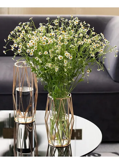 Desk Decorative Transparent Glass Vase Geometric Hydroponic Vase With Iron Frame (W13 x H23)cm - Gold