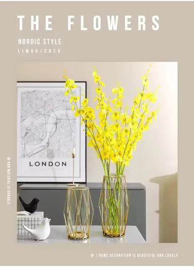 Desk Decorative Transparent Glass Vase Geometric Hydroponic Vase With Iron Frame (W13 x H23)cm - Gold