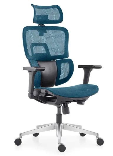 Multi-Functional Mechanism Office Chair, Desk Chair with Waist Pillow, Adjustable Height, 3D Headrest, 2D Backrest, 3D Armrest &amp; Position Locking (W71 x D69 x H118-108)cm - Blue