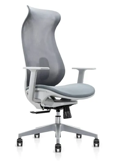 Elegant Ergonomic Office Chair, Desk Chair with Lumbar Support, Position Locking Mechanism, Adjustable Height &amp; Adjustable Armrest 6239A (W67 x D65 x H115-121)cm - Grey