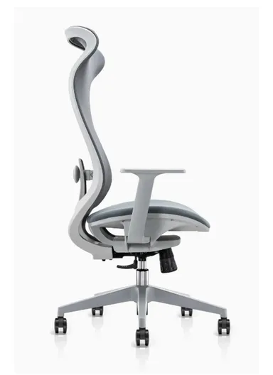 Elegant Ergonomic Office Chair, Desk Chair with Lumbar Support, Position Locking Mechanism, Adjustable Height &amp; Adjustable Armrest 6239A (W67 x D65 x H115-121)cm - Grey