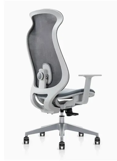 Elegant Ergonomic Office Chair, Desk Chair with Lumbar Support, Position Locking Mechanism, Adjustable Height &amp; Adjustable Armrest 6239A (W67 x D65 x H115-121)cm - Grey