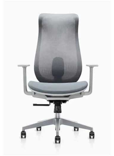 Elegant Ergonomic Office Chair, Desk Chair with Lumbar Support, Position Locking Mechanism, Adjustable Height &amp; Adjustable Armrest 6239A (W67 x D65 x H115-121)cm - Grey