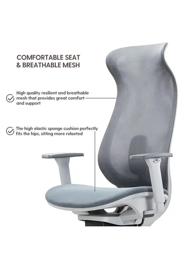 Elegant Ergonomic Office Chair, Desk Chair with Lumbar Support, Position Locking Mechanism, Adjustable Height &amp; Adjustable Armrest 6239A (W67 x D65 x H115-121)cm - Grey