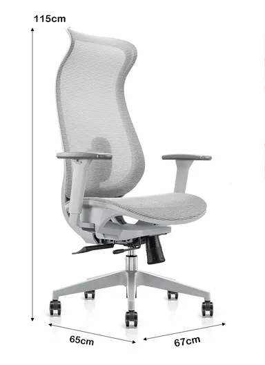 Elegant Ergonomic Office Chair, Desk Chair with 3D Armrest, Lumbar Support, Position Locking Mechanism &amp; Adjustable Height 6236A (W67 x D65 x H115-121)cm - Grey