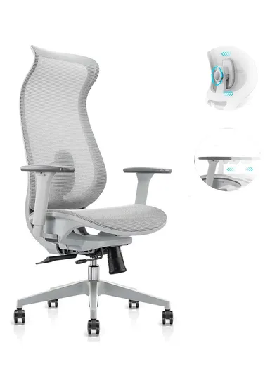 Elegant Ergonomic Office Chair, Desk Chair with 3D Armrest, Lumbar Support, Position Locking Mechanism &amp; Adjustable Height 6236A (W67 x D65 x H115-121)cm - Grey