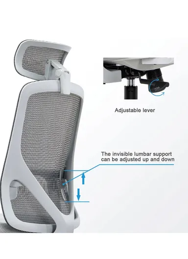 Ergonomic Office Chair, Desk Chair with Lumbar Support, Position Locking Mechanism, Adjustable Height &amp; Headrest Adjustment 6239A-HS (W66 x D63 x H126-116)cm - Grey