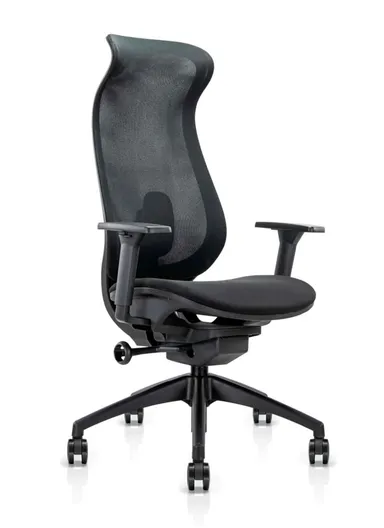 Elegant Ergonomic Office Chair, Desk Chair with Lumbar Support, Position Locking Mechanism, Adjustable Height &amp; Adjustable Armrest 6239A (W67 x D65 x H115-121)cm - Black