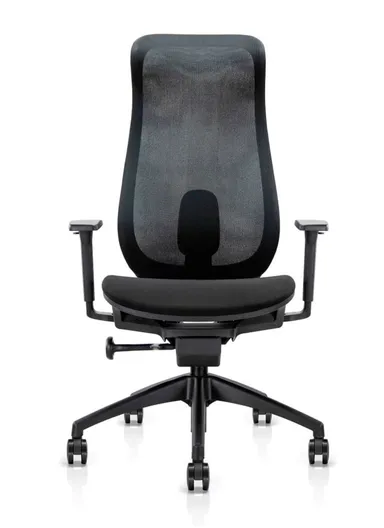 Elegant Ergonomic Office Chair, Desk Chair with Lumbar Support, Position Locking Mechanism, Adjustable Height &amp; Adjustable Armrest 6239A (W67 x D65 x H115-121)cm - Black