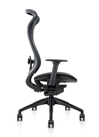 Elegant Ergonomic Office Chair, Desk Chair with Lumbar Support, Position Locking Mechanism, Adjustable Height &amp; Adjustable Armrest 6239A (W67 x D65 x H115-121)cm - Black