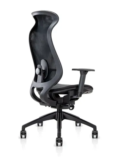 Elegant Ergonomic Office Chair, Desk Chair with Lumbar Support, Position Locking Mechanism, Adjustable Height &amp; Adjustable Armrest 6239A (W67 x D65 x H115-121)cm - Black